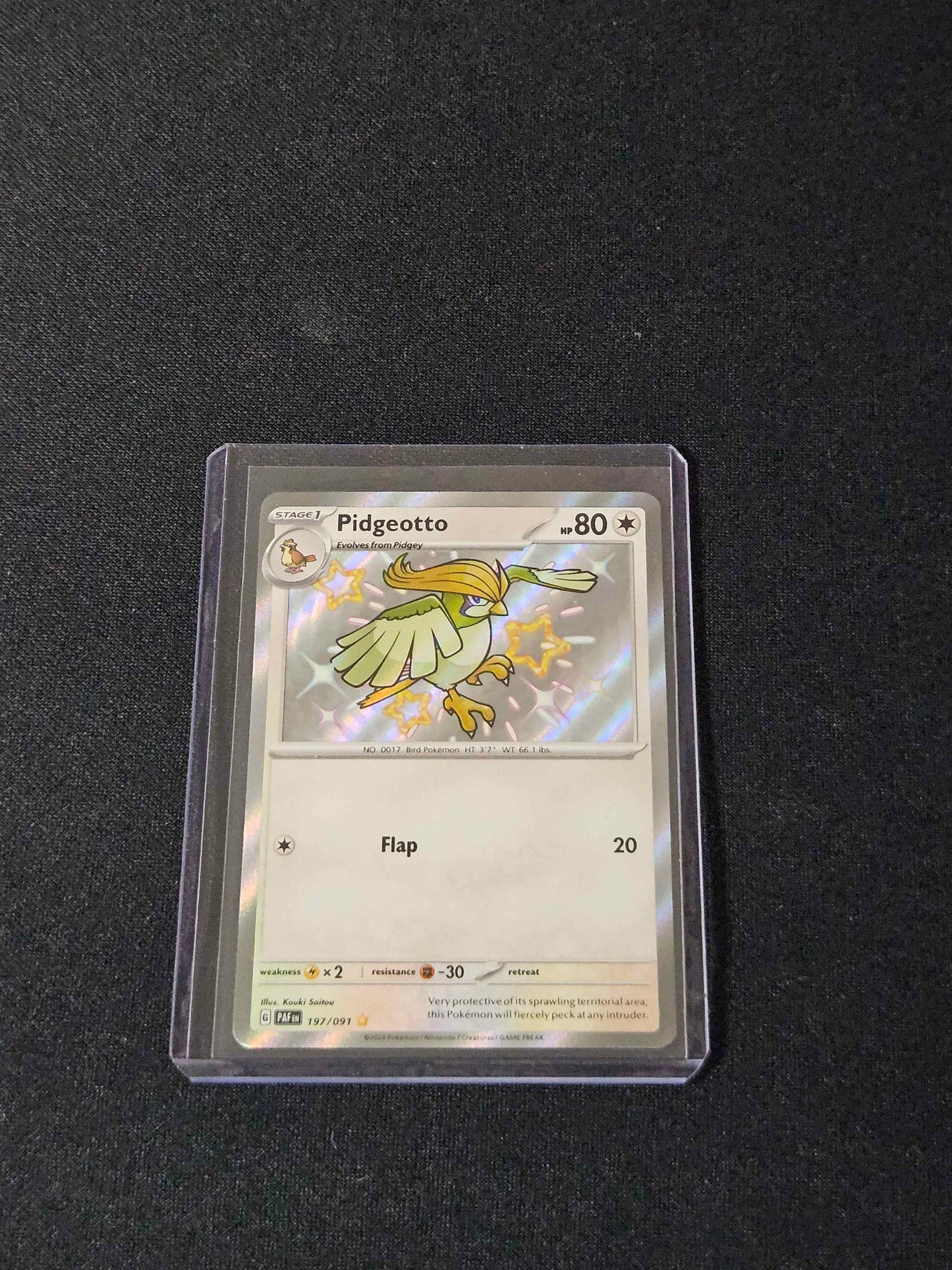Pidgeotto - 197/091 - Paldean Fates