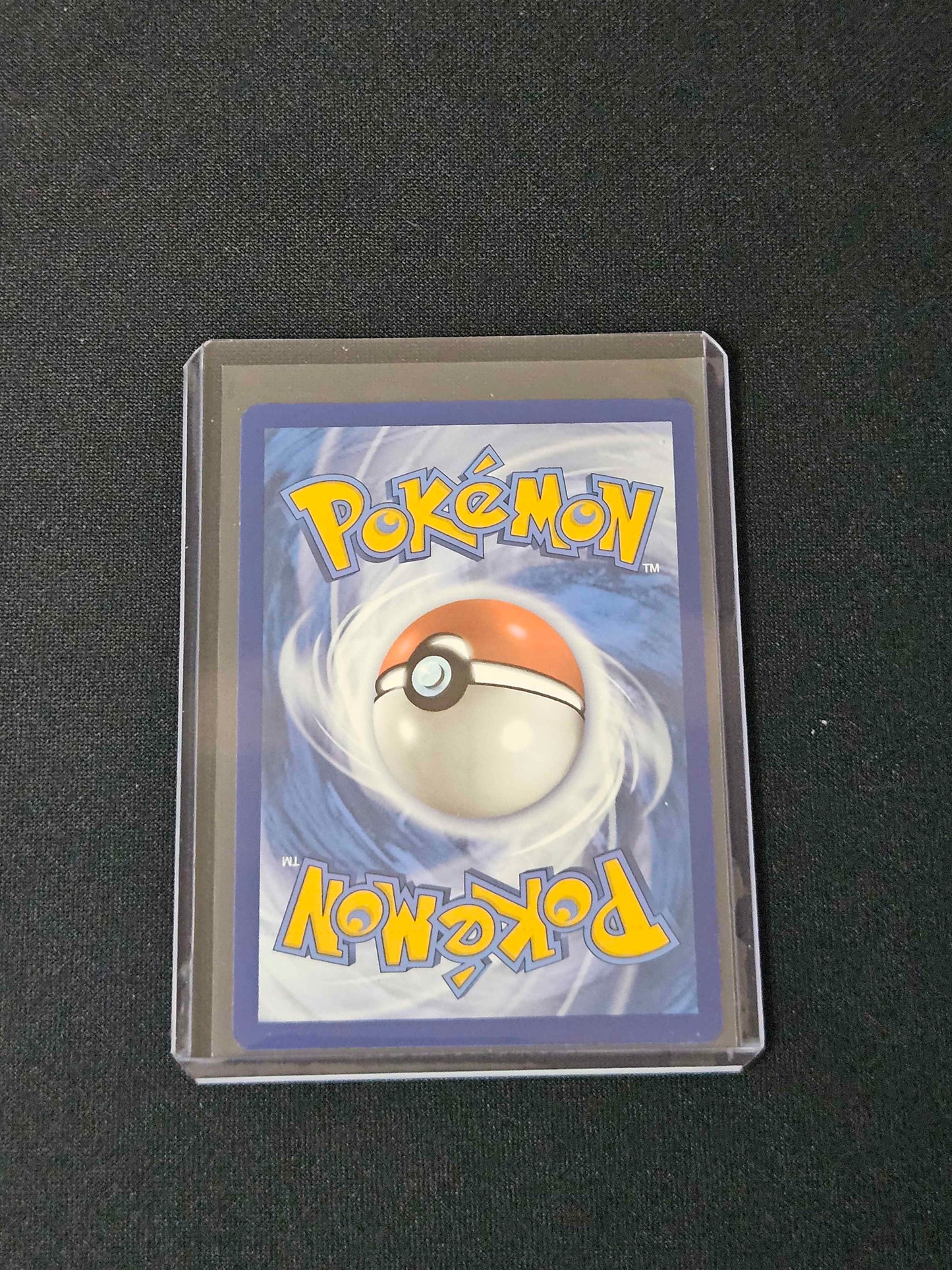 Bidoof - Crown Zenith: Galarian Gallery