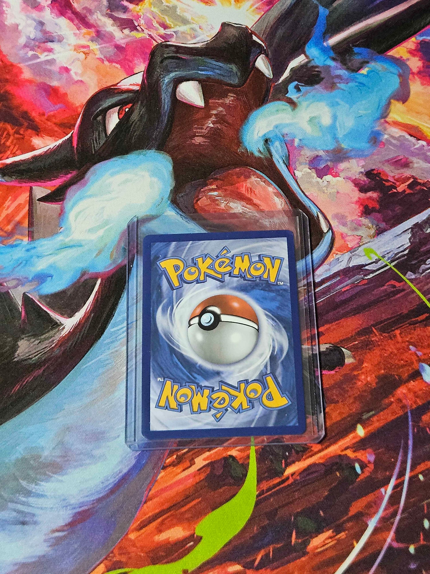 Shuckle - 136/132 - Mega Evolution