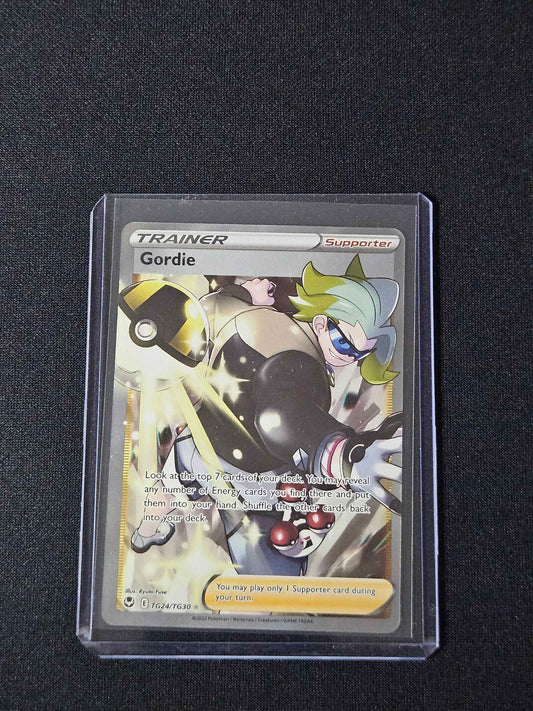 Gordie - Silver Tempest Trainer Gallery