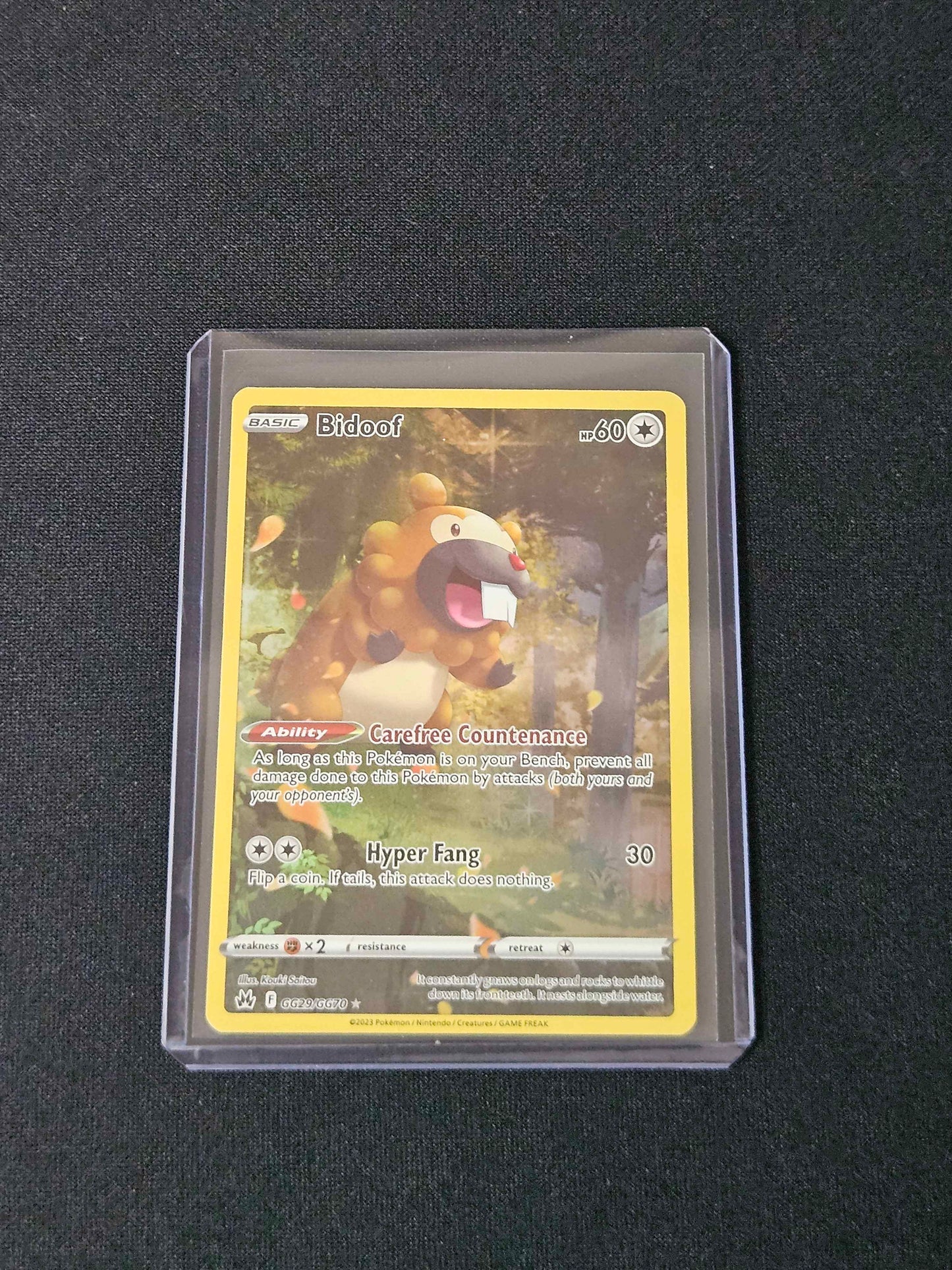 Bidoof - Crown Zenith: Galarian Gallery