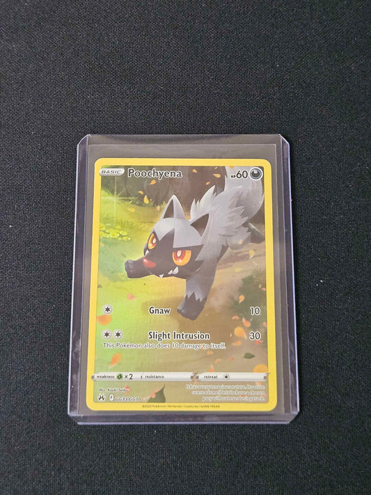 Poochyena - Crown Zenith: Galarian Gallery