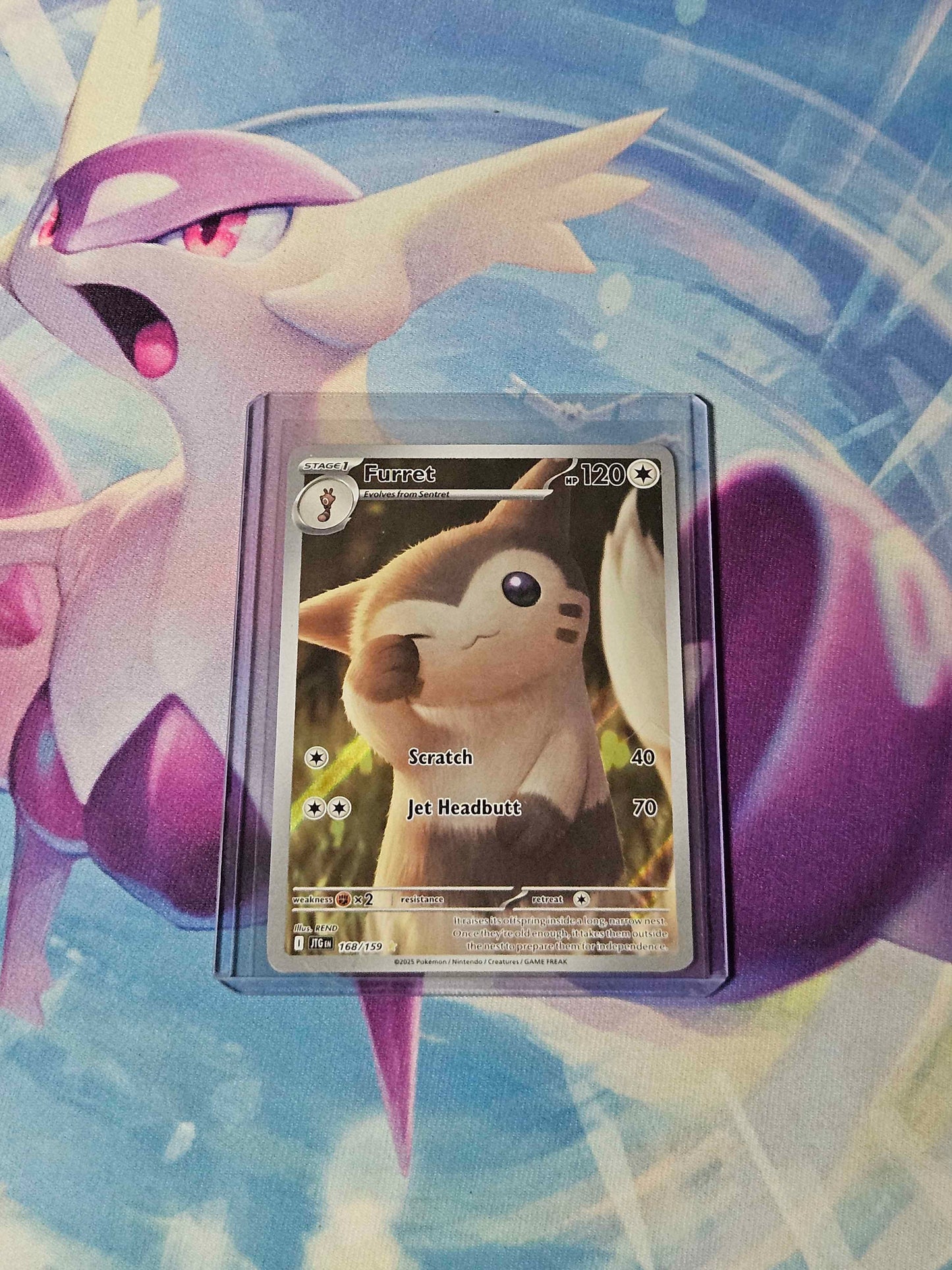 Furret - 168/159 - Journey Together