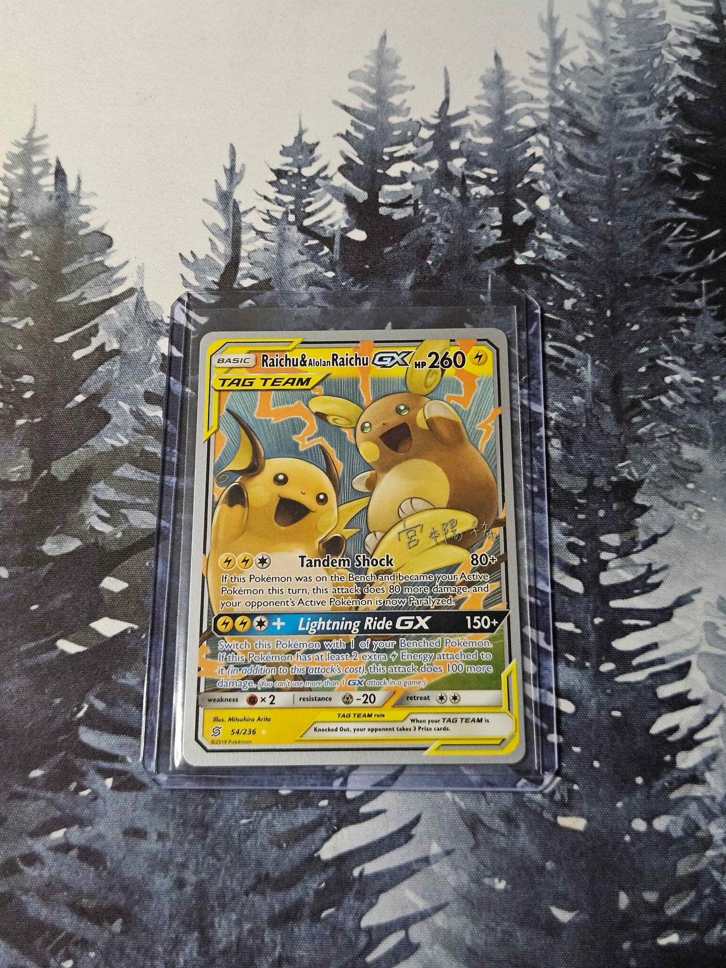 Raichu & Alolan Raichu GX - 2019 (Haruki Miyamoto) - World Championship Deck