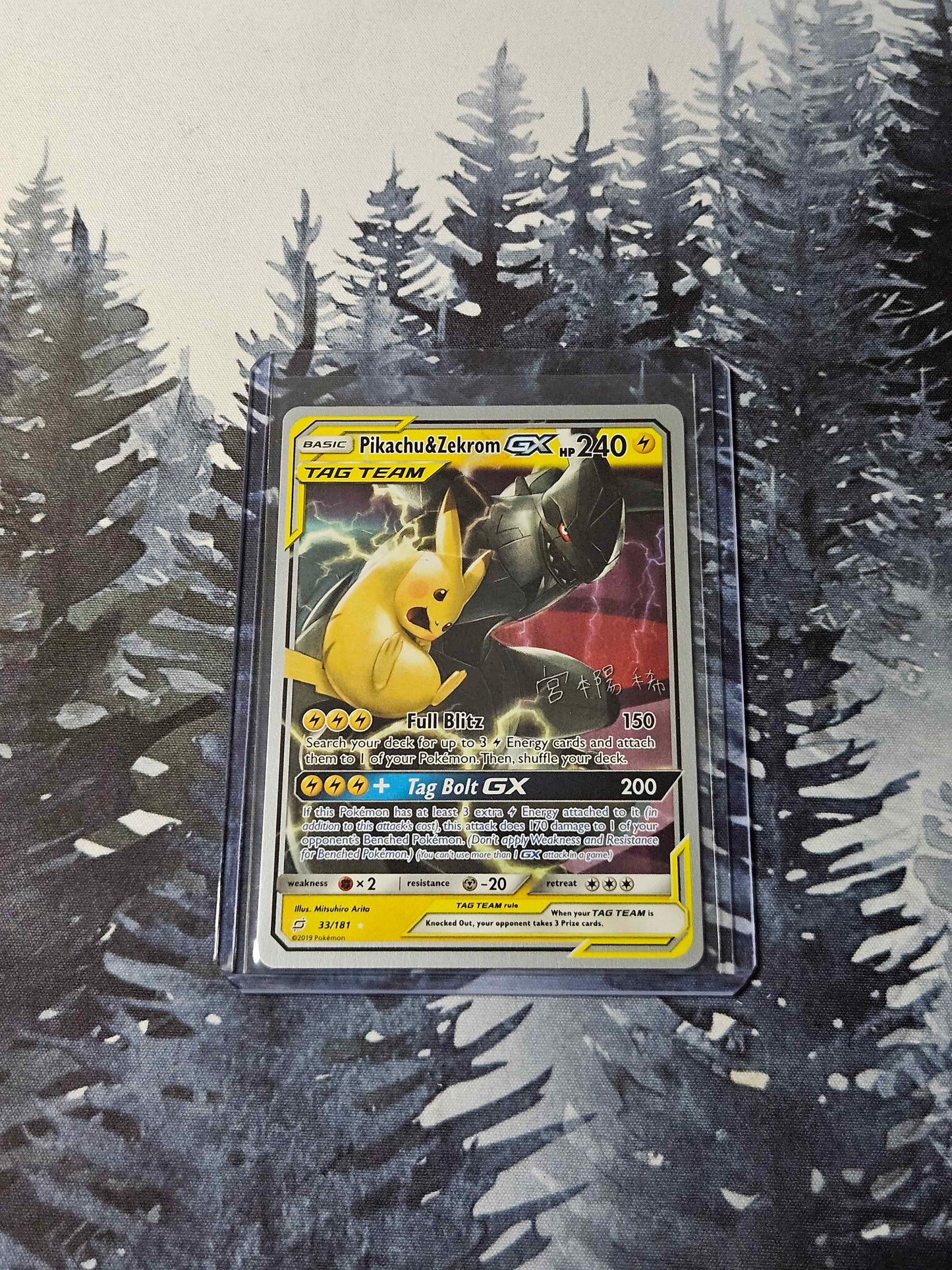 Pikachu & Zekrom GX - 2019 (Haruki Miyamoto) - World Championship Deck