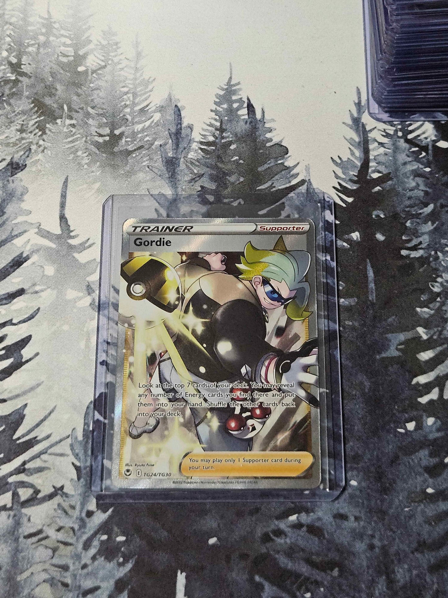 Gordie - TG24/TG30 - Silver Tempest Trainer Gallery