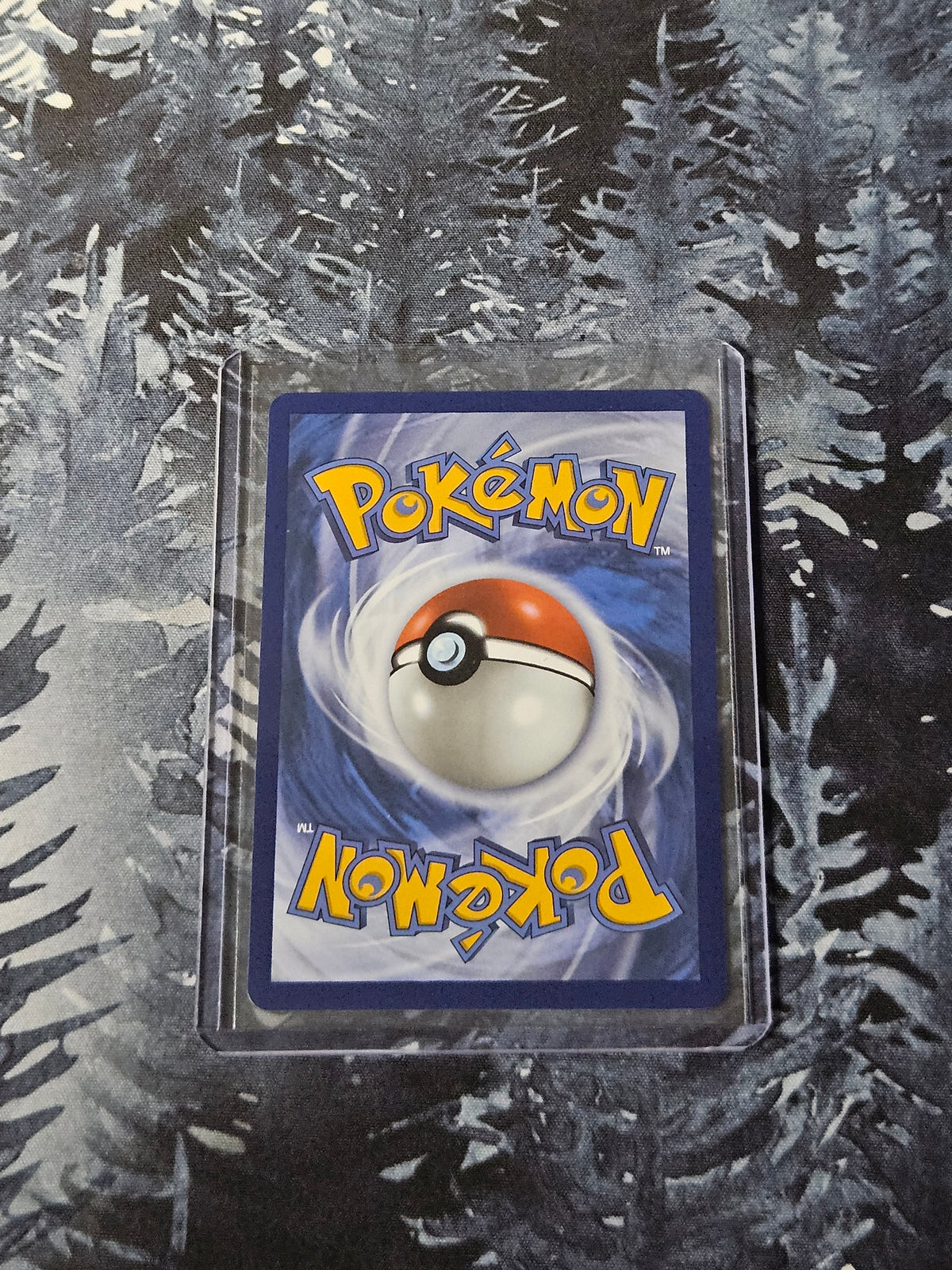 Chimchar - 041 - Mega Evolution Promo