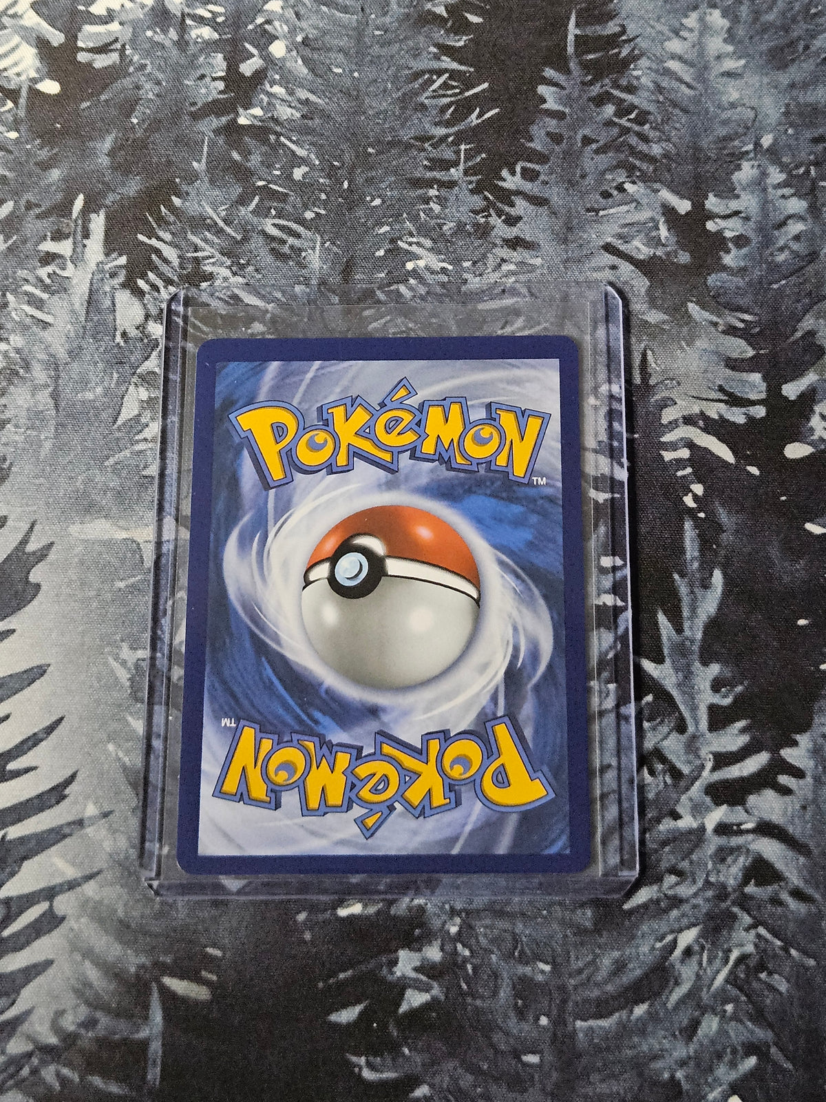 Mudkip - 057 - Mega Evolution Promo