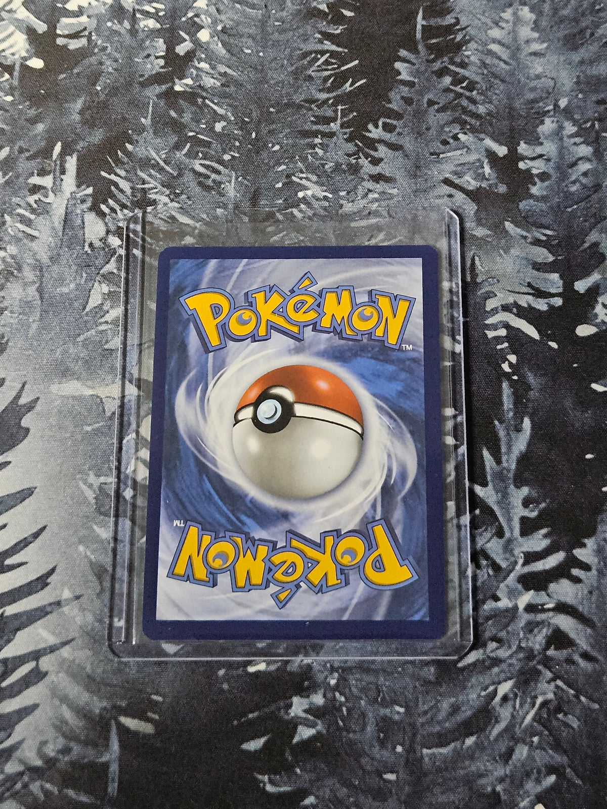 N's Zekrom - 031 - Mega Evolution Promo