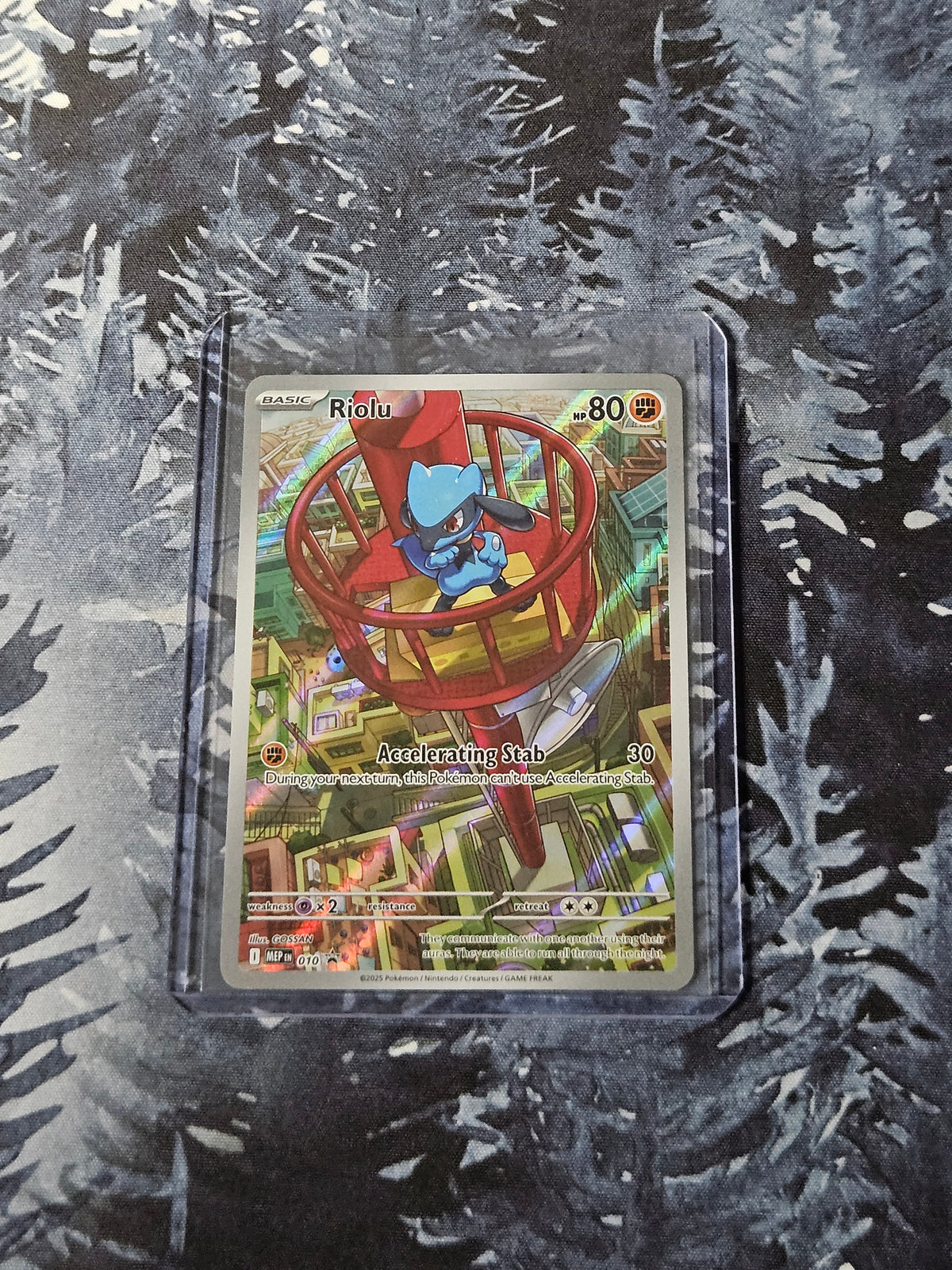 Riolu - 010 - Mega Evolution Promo