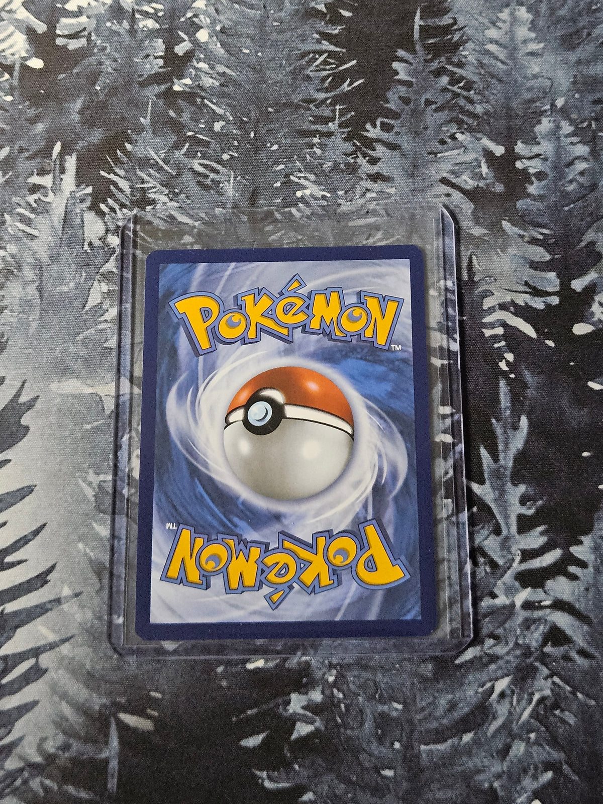Riolu - 010 - Mega Evolution Promo