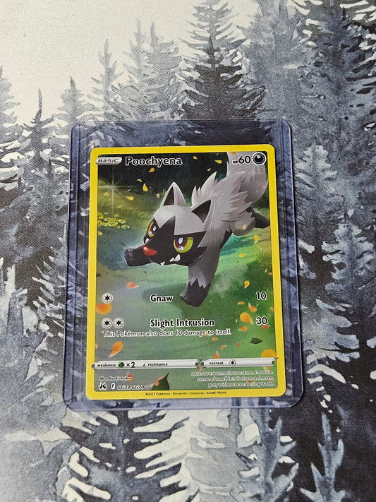 Poochyena (LP) - Crown Zenith: Galarian Gallery