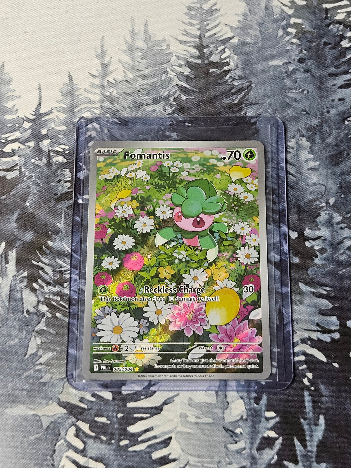 Fomantis - 085/084 - Pitch Black